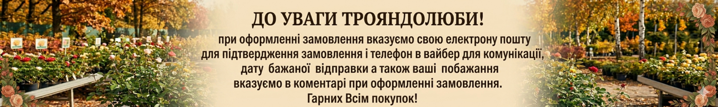 Нижній банер 1440 х 432