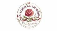 Матвіївські троянди
