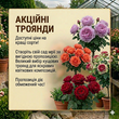 Акції